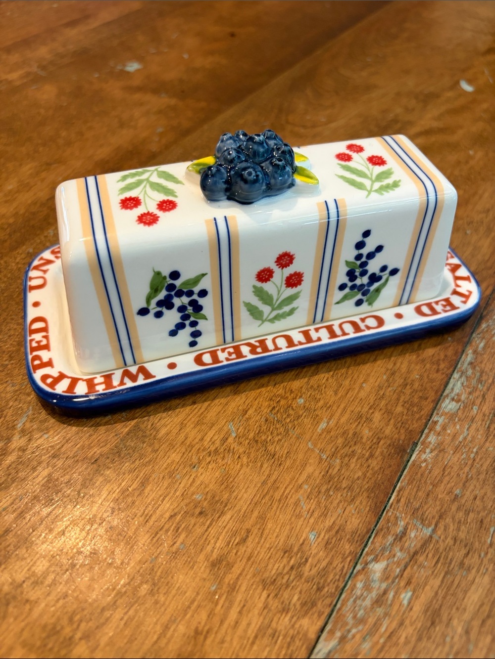 Anthropologie Lotta Butter Dish NWT/NIP